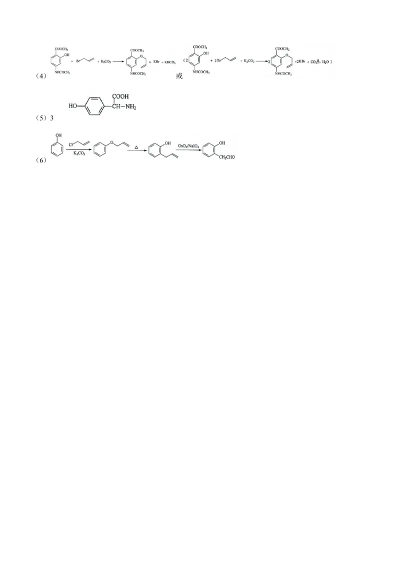 辽宁省五校联考（大连市二十四中学、大连八中、辽宁省实验中学、鞍山一中、东北育才学校）2024届高三上学期期末考试化学