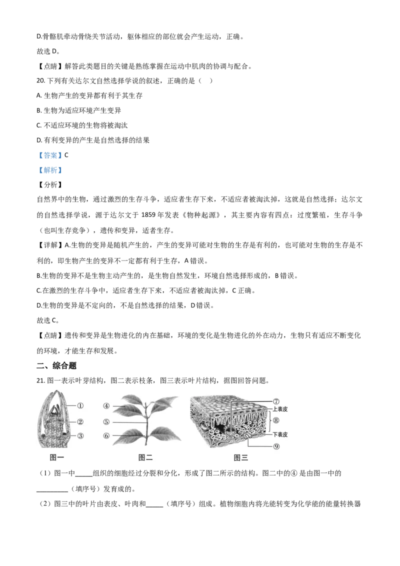 精品解析：辽宁省阜新市2020年中考生物试题（解析版）_中考真题_8.生物中考真题2015-2024年_2020生物真题74份_精品解析：辽宁省阜新市2020年中考生物试题