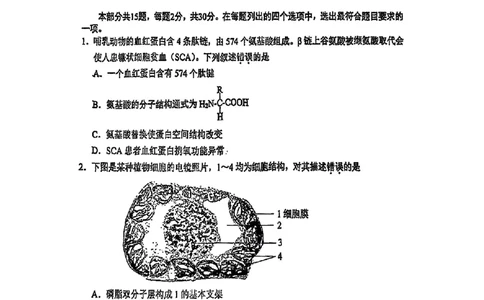2025北京西城高三一模生物试题及答案_2025年4月_250413北京市西城区2025年高三一模（全科）