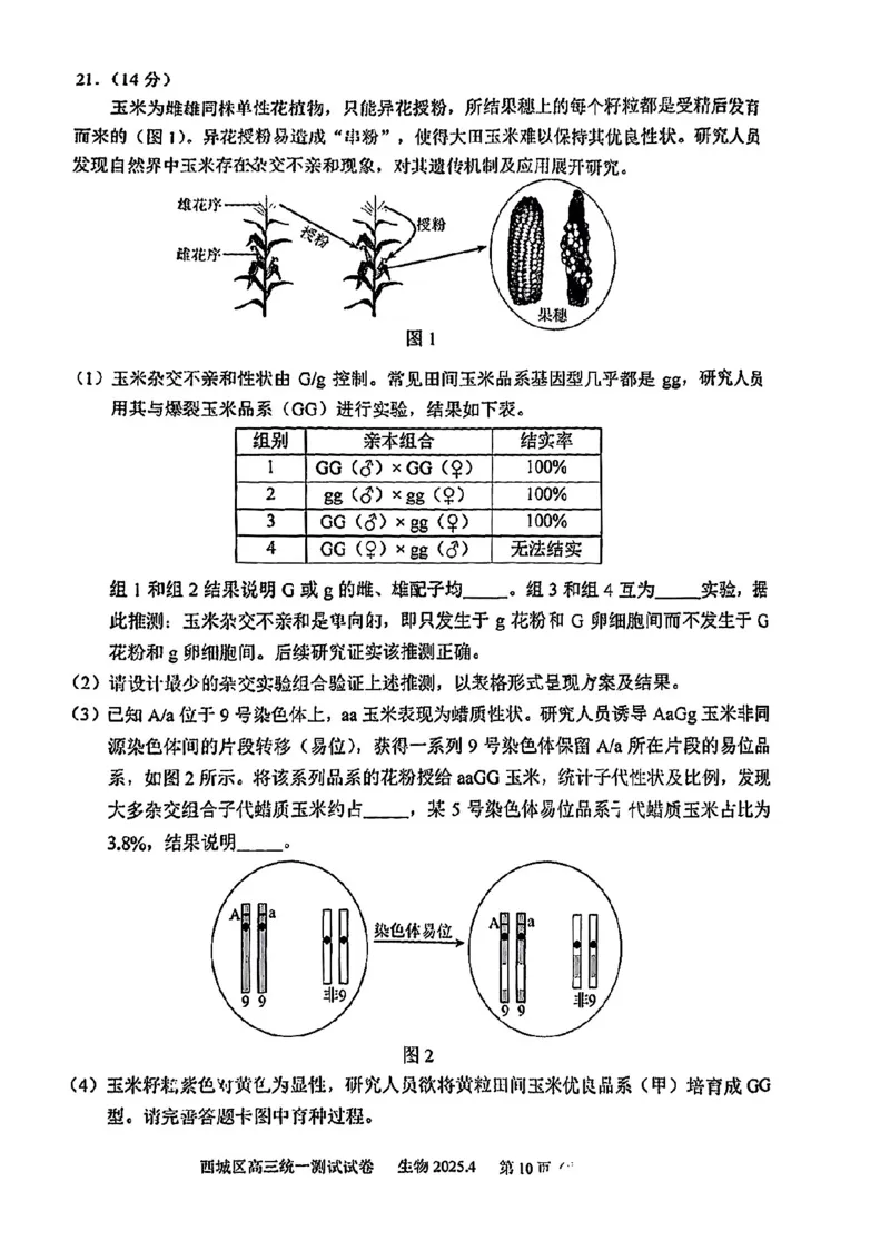 2025北京西城高三一模生物试题及答案_2025年4月_250413北京市西城区2025年高三一模（全科）