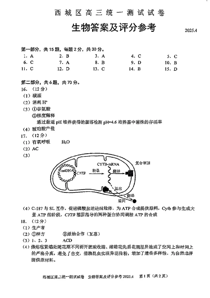 2025北京西城高三一模生物试题及答案_2025年4月_250413北京市西城区2025年高三一模（全科）