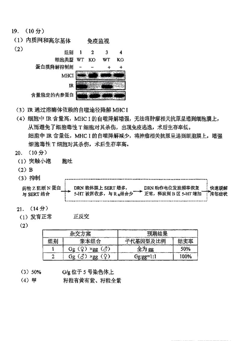 2025北京西城高三一模生物试题及答案_2025年4月_250413北京市西城区2025年高三一模（全科）