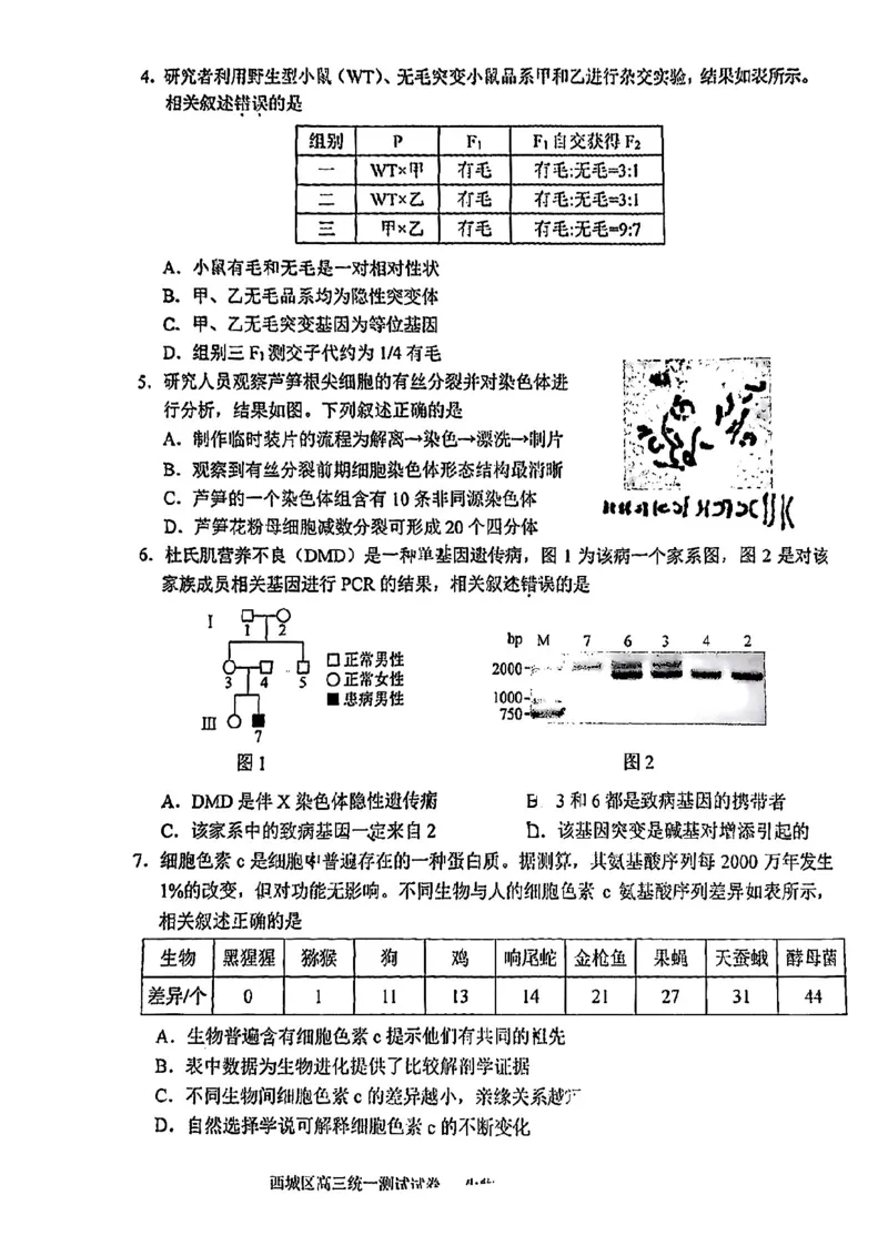 2025北京西城高三一模生物试题及答案_2025年4月_250413北京市西城区2025年高三一模（全科）