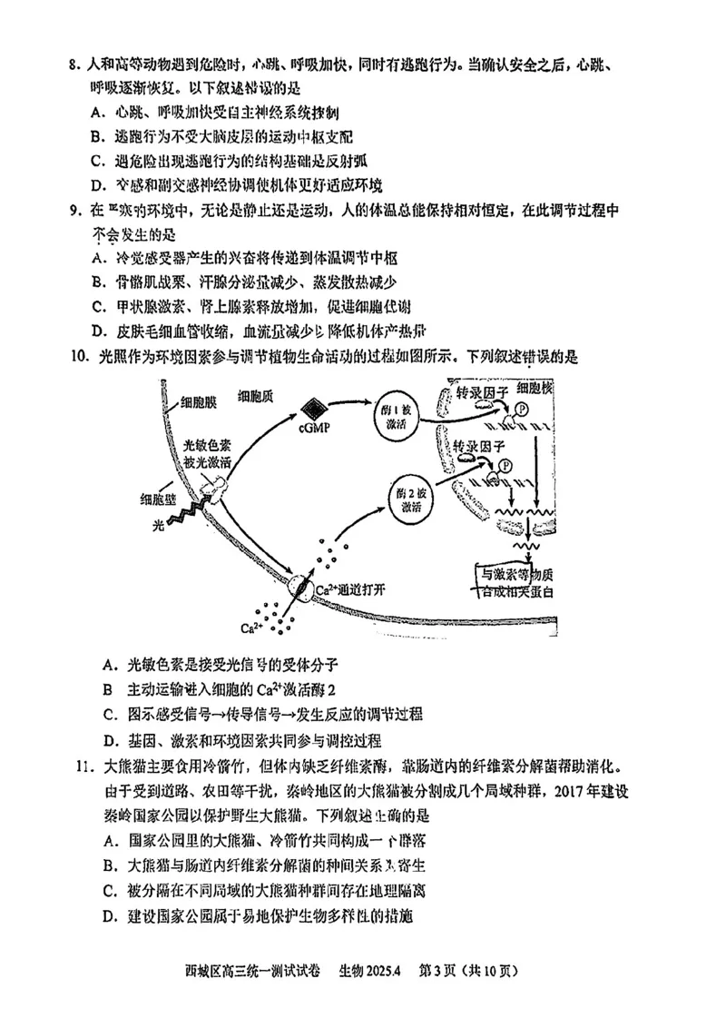 2025北京西城高三一模生物试题及答案_2025年4月_250413北京市西城区2025年高三一模（全科）