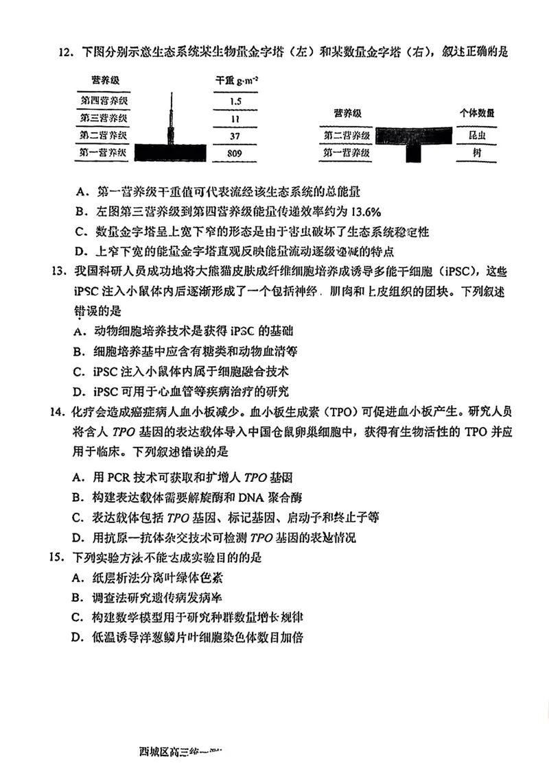 2025北京西城高三一模生物试题及答案_2025年4月_250413北京市西城区2025年高三一模（全科）