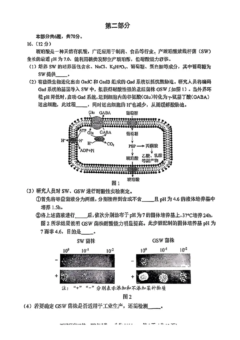 2025北京西城高三一模生物试题及答案_2025年4月_250413北京市西城区2025年高三一模（全科）