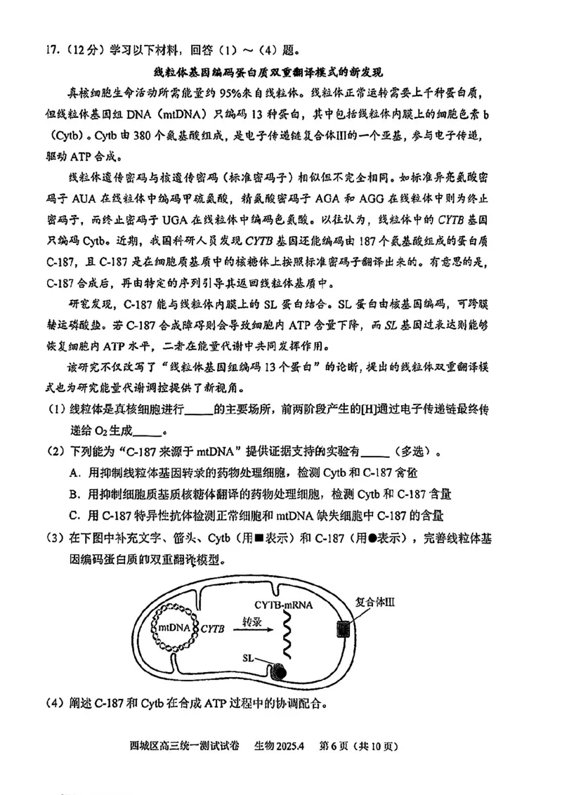 2025北京西城高三一模生物试题及答案_2025年4月_250413北京市西城区2025年高三一模（全科）