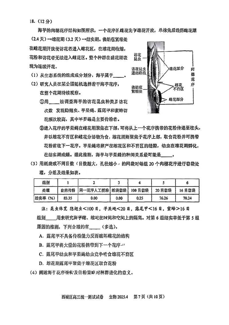 2025北京西城高三一模生物试题及答案_2025年4月_250413北京市西城区2025年高三一模（全科）