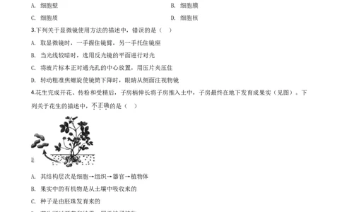 精品解析：河南省2020年中考生物试题（原卷版）_中考真题_8.生物中考真题2015-2024年_2020生物真题74份_2020年中考真题精品解析生物（河南卷）精编word版