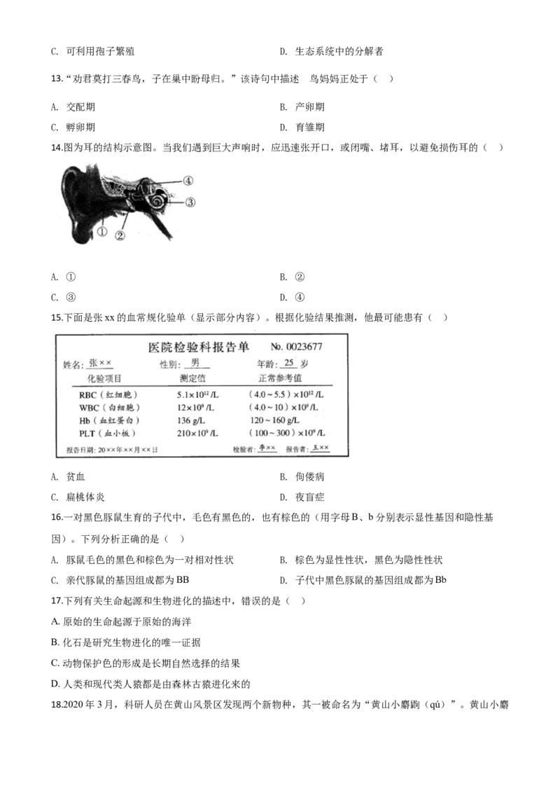 精品解析：河南省2020年中考生物试题（原卷版）_中考真题_8.生物中考真题2015-2024年_2020生物真题74份_2020年中考真题精品解析生物（河南卷）精编word版
