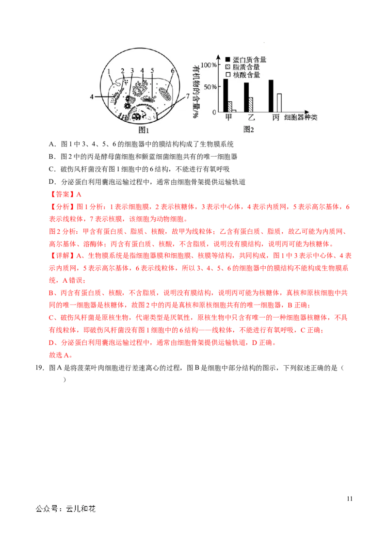 高一生物期中模拟卷（全解全析）（新八省通用）_1多考区联考试卷_1014高一期中模拟卷（新八省专用）黄金卷：2024-2025学年高一上学期期中模拟考试