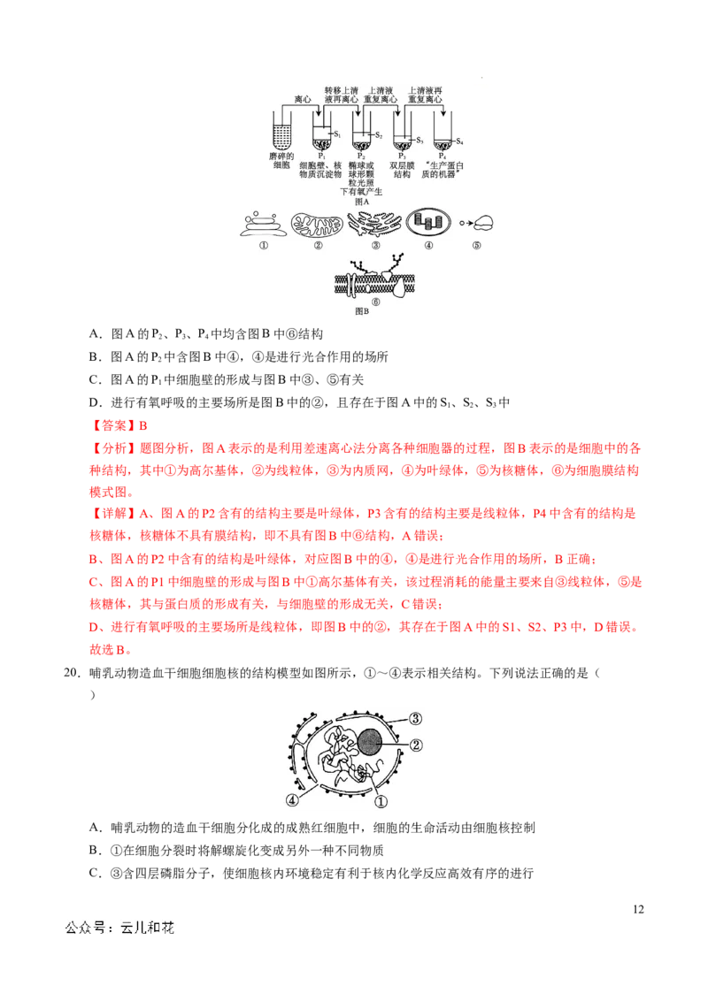 高一生物期中模拟卷（全解全析）（新八省通用）_1多考区联考试卷_1014高一期中模拟卷（新八省专用）黄金卷：2024-2025学年高一上学期期中模拟考试