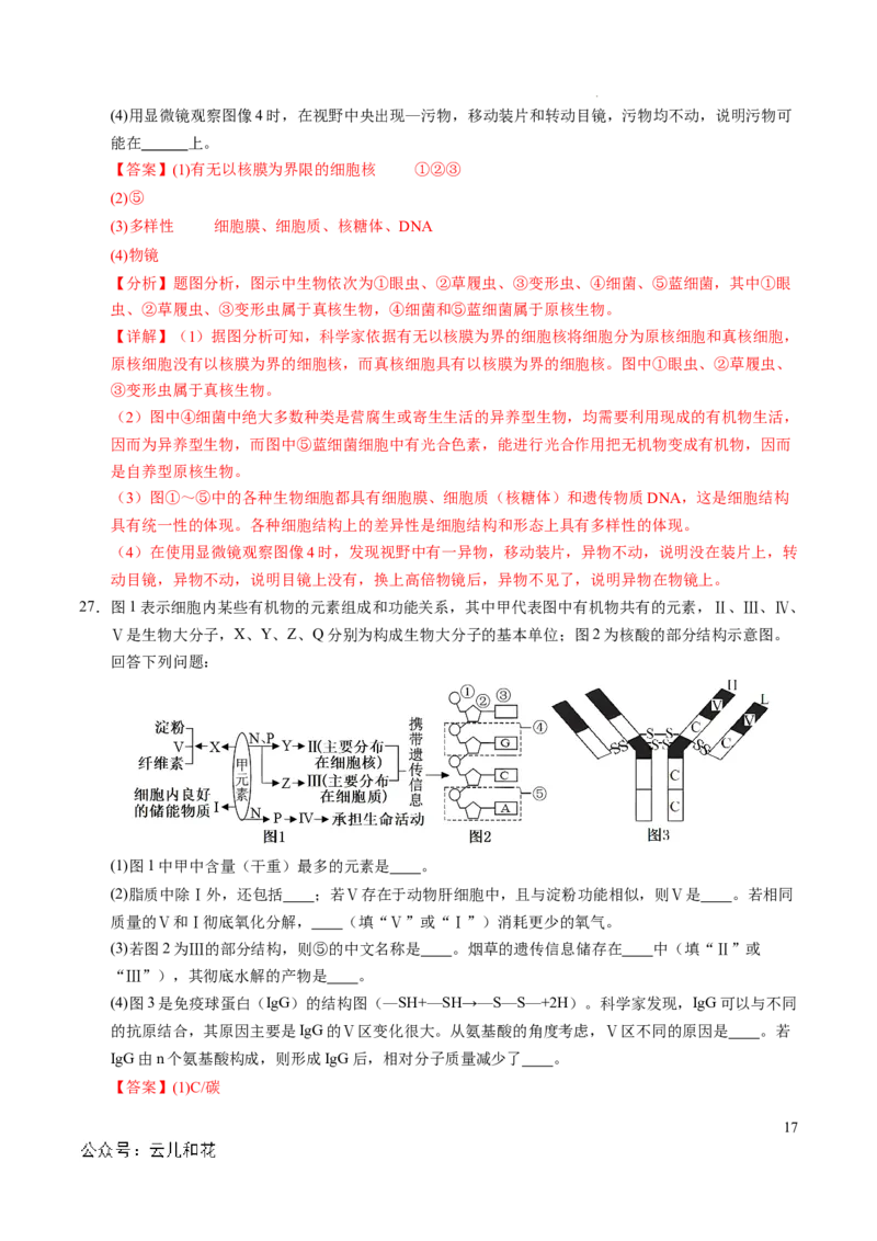 高一生物期中模拟卷（全解全析）（新八省通用）_1多考区联考试卷_1014高一期中模拟卷（新八省专用）黄金卷：2024-2025学年高一上学期期中模拟考试