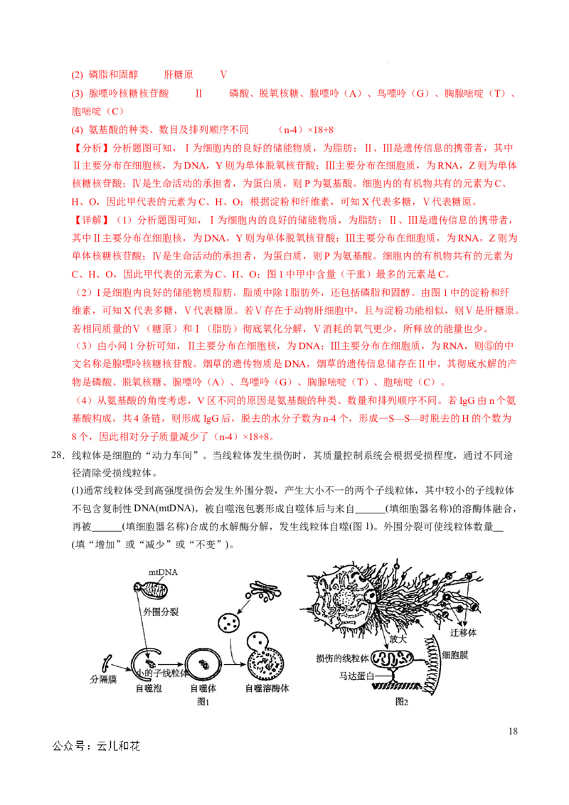 高一生物期中模拟卷（全解全析）（新八省通用）_1多考区联考试卷_1014高一期中模拟卷（新八省专用）黄金卷：2024-2025学年高一上学期期中模拟考试