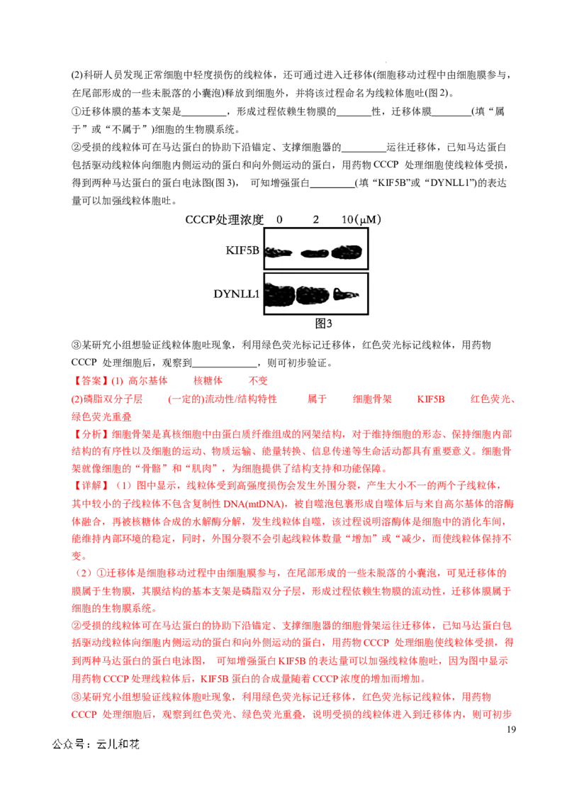 高一生物期中模拟卷（全解全析）（新八省通用）_1多考区联考试卷_1014高一期中模拟卷（新八省专用）黄金卷：2024-2025学年高一上学期期中模拟考试