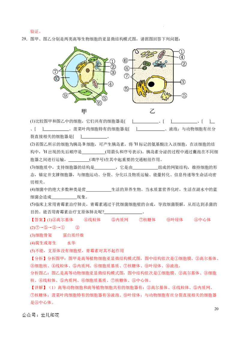 高一生物期中模拟卷（全解全析）（新八省通用）_1多考区联考试卷_1014高一期中模拟卷（新八省专用）黄金卷：2024-2025学年高一上学期期中模拟考试