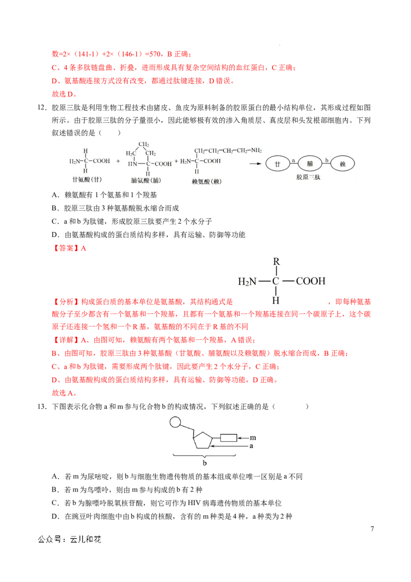 高一生物期中模拟卷（全解全析）（新八省通用）_1多考区联考试卷_1014高一期中模拟卷（新八省专用）黄金卷：2024-2025学年高一上学期期中模拟考试