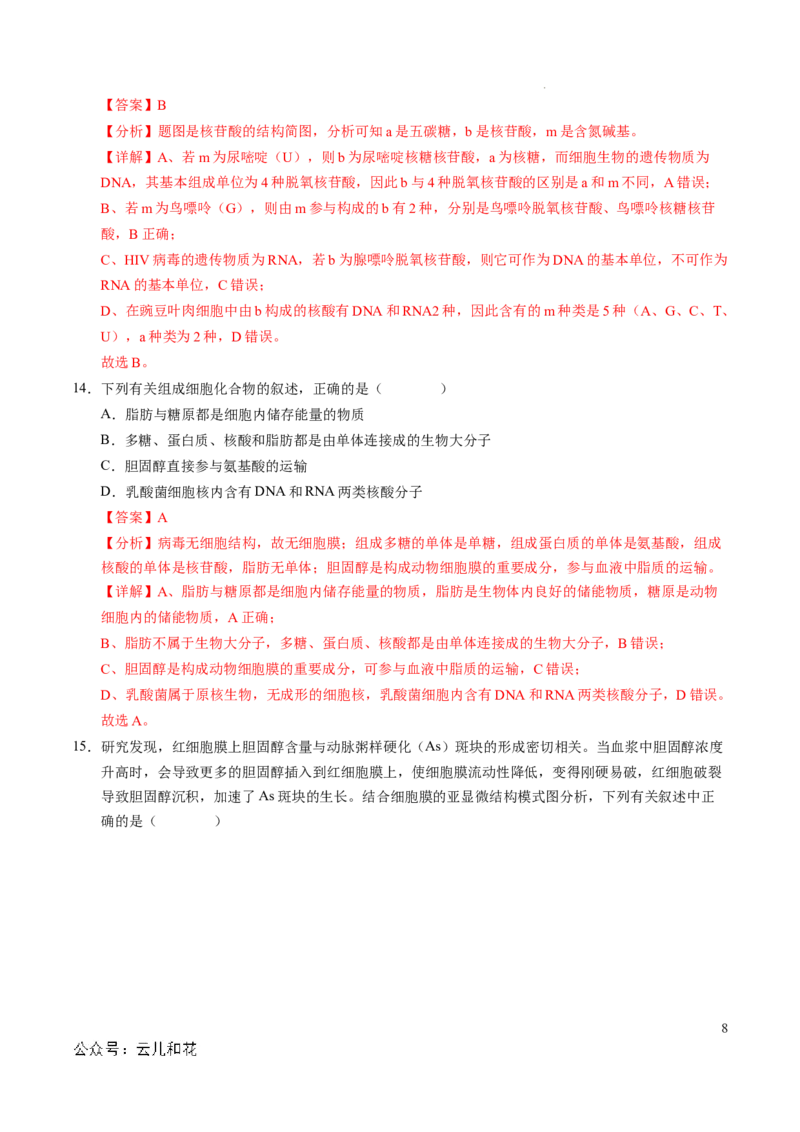 高一生物期中模拟卷（全解全析）（新八省通用）_1多考区联考试卷_1014高一期中模拟卷（新八省专用）黄金卷：2024-2025学年高一上学期期中模拟考试