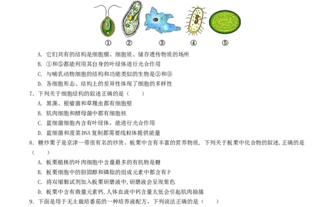 高一生物第一次月考卷（考试版A4）测试范围：第1-2章（人教版2019）_1多考区联考试卷_0924黄金卷：2024-2025学年高一上学期第一次月考9科word解析版含答题卡（天津专用）