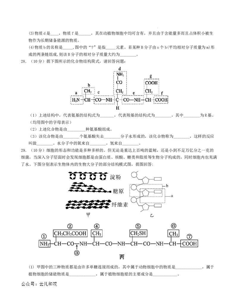 高一生物第一次月考卷（考试版A4）测试范围：第1-2章（人教版2019）_1多考区联考试卷_0924黄金卷：2024-2025学年高一上学期第一次月考9科word解析版含答题卡（天津专用）