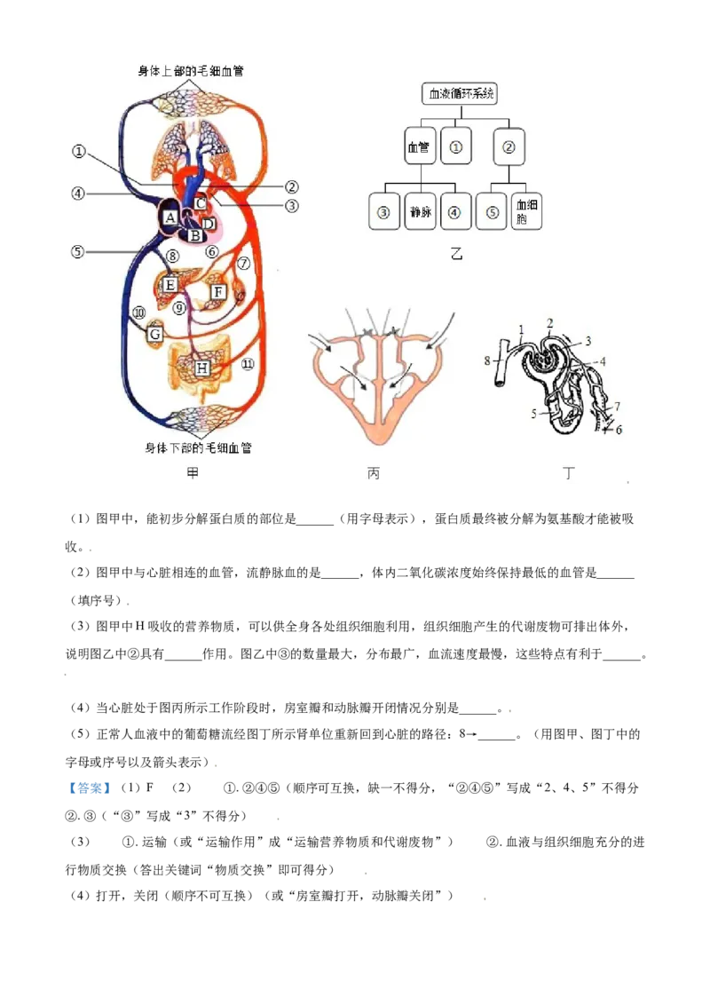 精品解析：内蒙古鄂尔多斯市2021年中考生物试题（解析版）_中考真题_8.生物中考真题2015-2024年_2021中考生物真题64份_2021内蒙古_精品解析：内蒙古鄂尔多斯市2021年中考生物试题