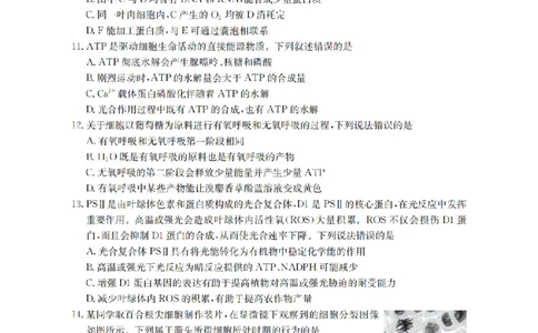 内蒙古2026届高三名校9月教学质量检测试卷（26-32C）生物_2025年10月_12026年试卷教辅资源等多个文件_251017金太阳&middot;内蒙古2026届高三名校9月教学质量检测试卷（26-32C）（全科）