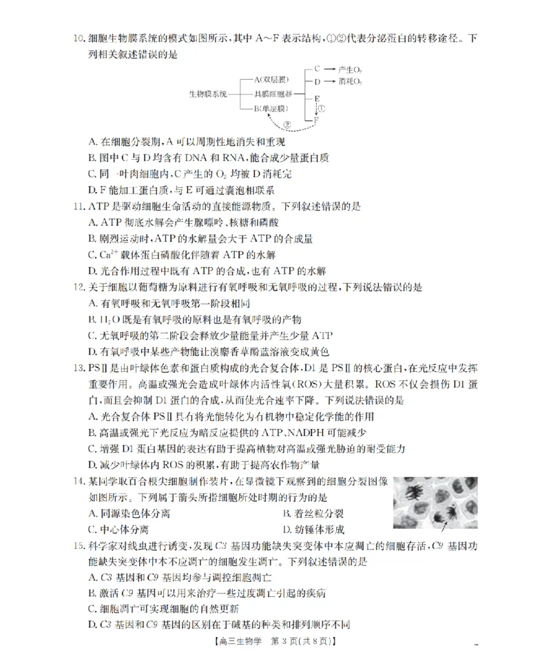 内蒙古2026届高三名校9月教学质量检测试卷（26-32C）生物_2025年10月_12026年试卷教辅资源等多个文件_251017金太阳&middot;内蒙古2026届高三名校9月教学质量检测试卷（26-32C）（全科）