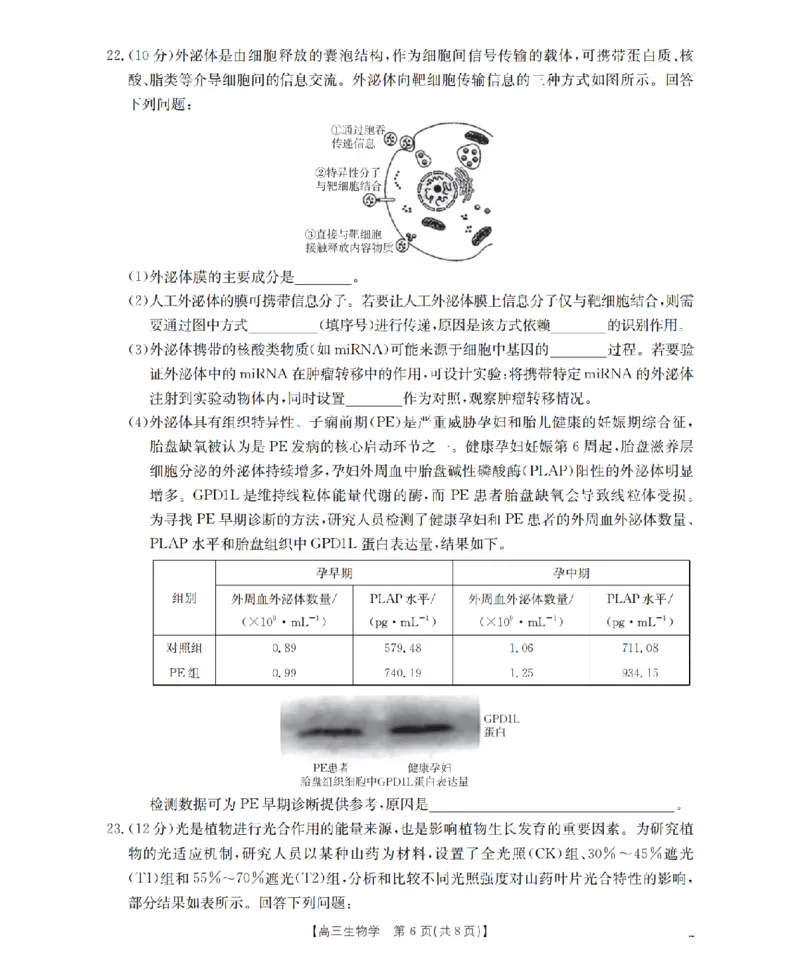 内蒙古2026届高三名校9月教学质量检测试卷（26-32C）生物_2025年10月_12026年试卷教辅资源等多个文件_251017金太阳&middot;内蒙古2026届高三名校9月教学质量检测试卷（26-32C）（全科）