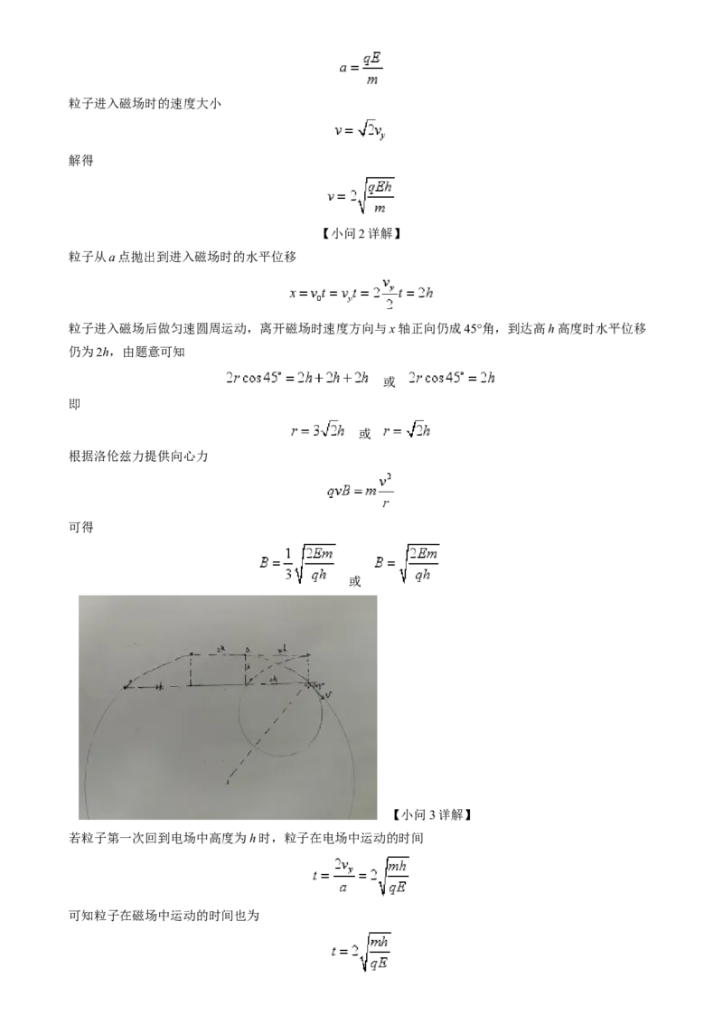 2025年1月河南省普通高等学校招生考试适应性测试（八省联考）物理试题Word版含解析_2025年1月_❤2025年高考综合改革适应性演练（八省联考）(1)