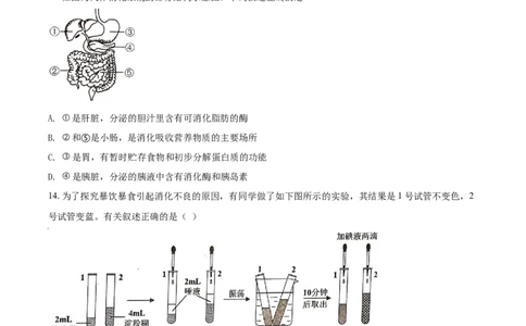 精品解析：江苏省苏州市2021年初中结业考试生物试题（原卷版）_中考真题_8.生物中考真题2015-2024年_2021中考生物真题64份_2021江苏省_精品解析：江苏省苏州市2021年初中结业考试生物试题