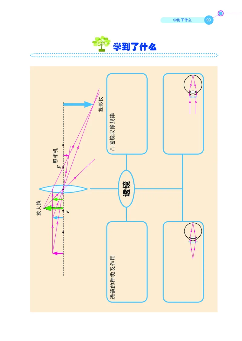 鲁科版8年级物理上册高清教材_4-教培资料-26年最新资料-同步更新_初中高中教资_03科三专项（进去保存报考的学科即可）_02科三专项（笔记真题思维导图教学设计版本二）