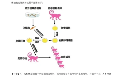 精品解析：安徽省2020年中考试题（解析版）_中考真题_8.生物中考真题2015-2024年_2020生物真题74份_2020年中考真题精品解析生物（安徽卷）精编word版