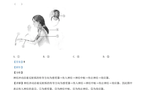 精品解析：安徽省2020年中考试题（解析版）_中考真题_8.生物中考真题2015-2024年_2020生物真题74份_2020年中考真题精品解析生物（安徽卷）精编word版