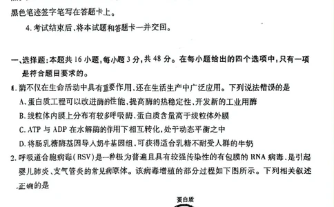 2025届山西省临汾市高三下学期第二次模拟生物试题_2025年4月_2504042025届山西省临汾市高三下学期第二次模拟考试（全科）
