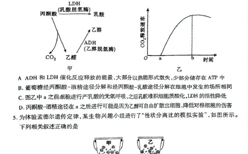 2025届山西省临汾市高三下学期第二次模拟生物试题_2025年4月_2504042025届山西省临汾市高三下学期第二次模拟考试（全科）