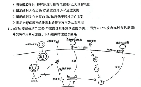 2025届山西省临汾市高三下学期第二次模拟生物试题_2025年4月_2504042025届山西省临汾市高三下学期第二次模拟考试（全科）
