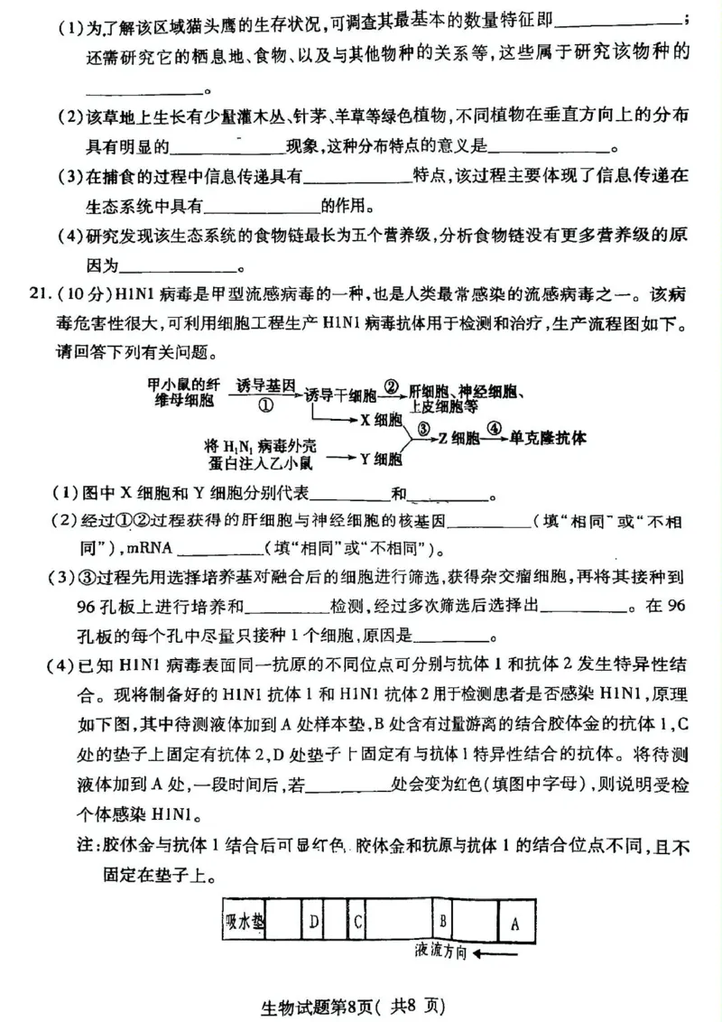 2025届山西省临汾市高三下学期第二次模拟生物试题_2025年4月_2504042025届山西省临汾市高三下学期第二次模拟考试（全科）