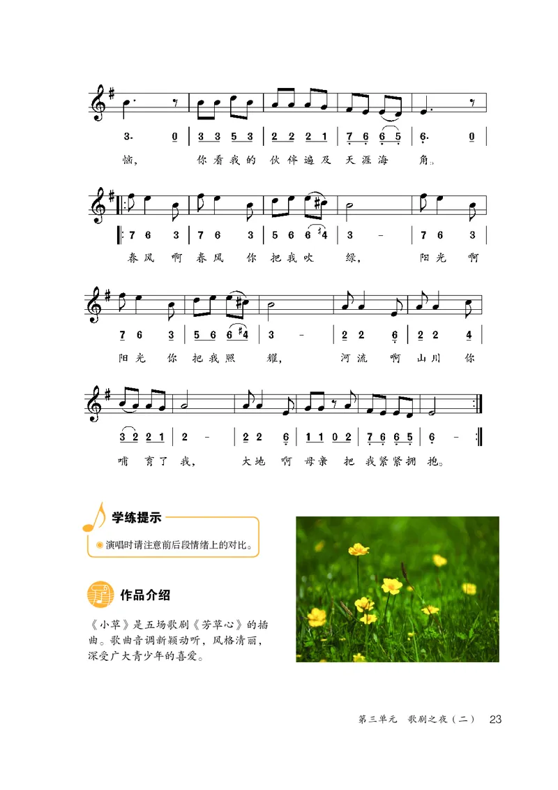 鲁教版8年级音乐上册高清教材_4-教培资料-26年最新资料-同步更新_初中高中教资_03科三专项（进去保存报考的学科即可）_02科三专项（笔记真题思维导图教学设计版本二）