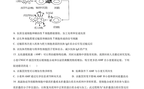 2025《高考真题&bull;陕晋青宁》生物试题(原卷版)_2025《全国高考真题卷》各地方卷_2025《高考真题&bull;陕晋青宁》