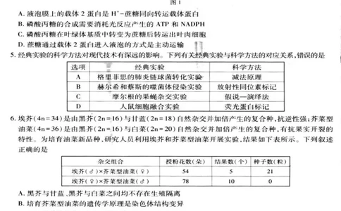 云南民族大学附属高级中学2026届高三上学期联考（一）生物试卷（含解析）_2025年8月_250831云南省上进联考云南民族大学附属高级中学2026届高三上学期联考（一）（全科）