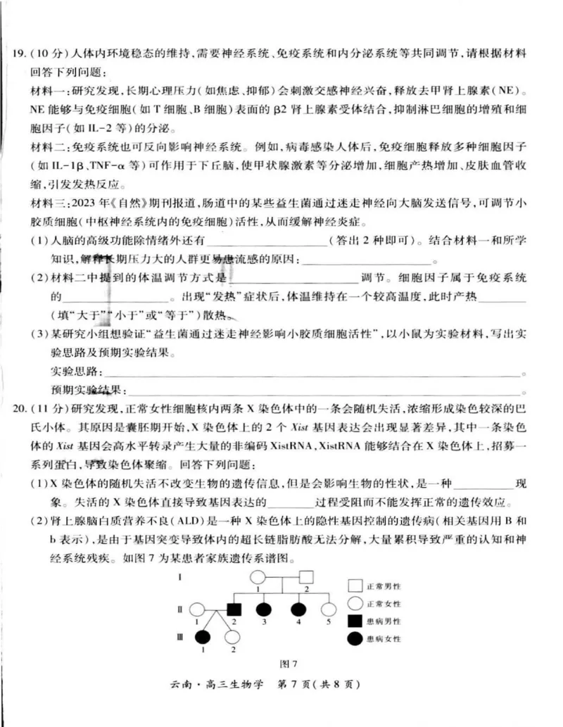 云南民族大学附属高级中学2026届高三上学期联考（一）生物试卷（含解析）_2025年8月_250831云南省上进联考云南民族大学附属高级中学2026届高三上学期联考（一）（全科）