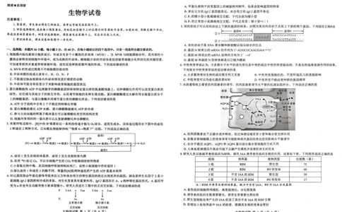 2026届陕西省西安市新城区高三上学期一模生物试题（含答案）_2025年9月_250922名校教研联盟&middot;陕西省西安市新城区2026届高三9月考试（全科）