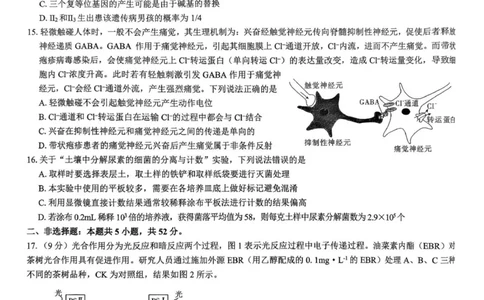 2026届陕西省西安市新城区高三上学期一模生物试题（含答案）_2025年9月_250922名校教研联盟&middot;陕西省西安市新城区2026届高三9月考试（全科）