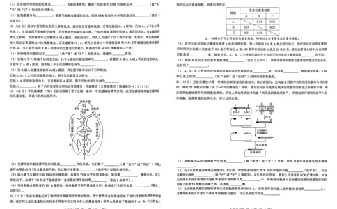 2026届陕西省西安市新城区高三上学期一模生物试题（含答案）_2025年9月_250922名校教研联盟&middot;陕西省西安市新城区2026届高三9月考试（全科）