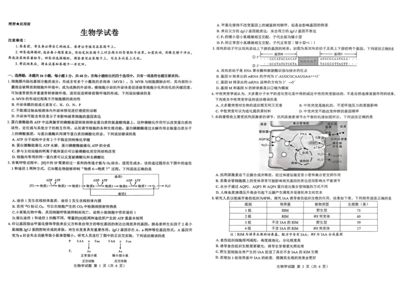 2026届陕西省西安市新城区高三上学期一模生物试题（含答案）_2025年9月_250922名校教研联盟&middot;陕西省西安市新城区2026届高三9月考试（全科）