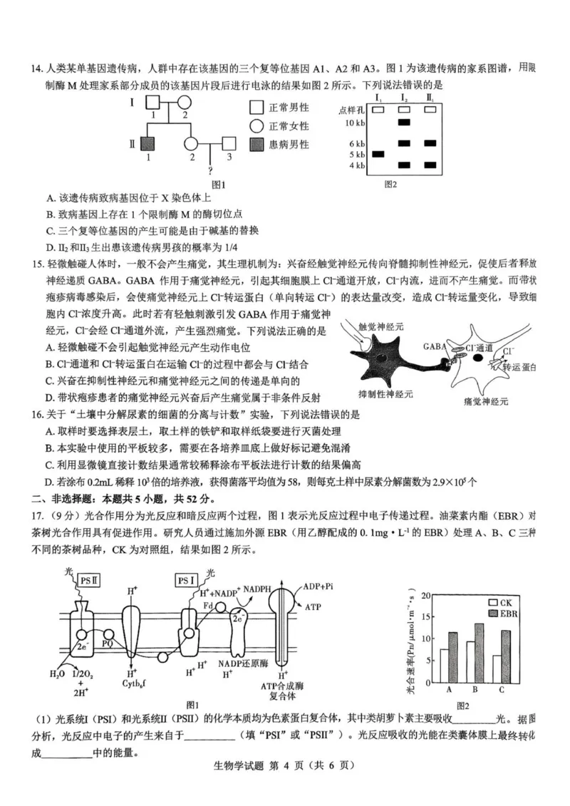2026届陕西省西安市新城区高三上学期一模生物试题（含答案）_2025年9月_250922名校教研联盟&middot;陕西省西安市新城区2026届高三9月考试（全科）