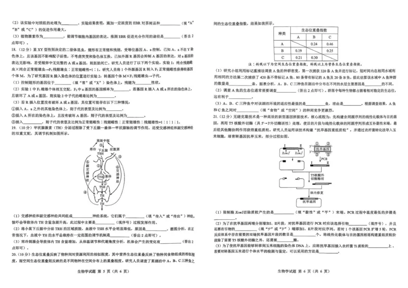 2026届陕西省西安市新城区高三上学期一模生物试题（含答案）_2025年9月_250922名校教研联盟&middot;陕西省西安市新城区2026届高三9月考试（全科）