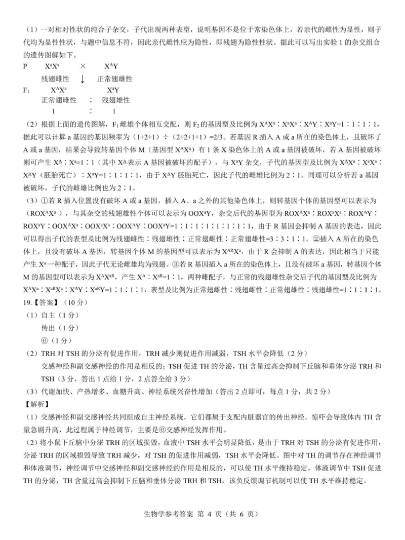 2026届陕西省西安市新城区高三上学期一模生物试题（含答案）_2025年9月_250922名校教研联盟&middot;陕西省西安市新城区2026届高三9月考试（全科）