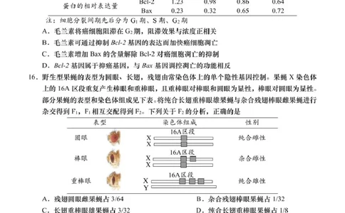 2025届广东省汕头市高三下学期普通高考第二次模拟考试生物学试题_2025年4月_250428广东省汕头二模2025届高三第二次模拟考试（全科）