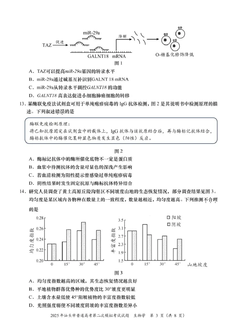 2025届广东省汕头市高三下学期普通高考第二次模拟考试生物学试题_2025年4月_250428广东省汕头二模2025届高三第二次模拟考试（全科）